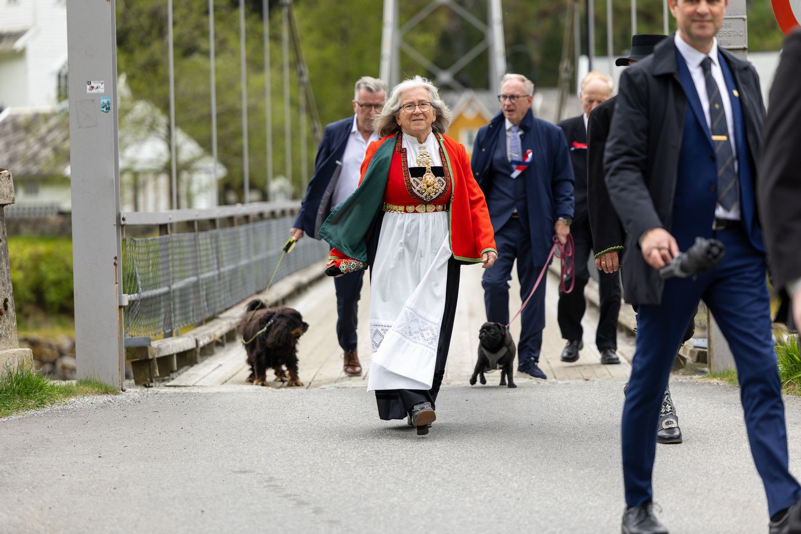En eldre kvinne i rød og hvit bunad med hvitt forkle og gullsøljer går over en trebro, omgitt av menn i mørke dresser. To hunder i bånd følger med i bakgrunnen.