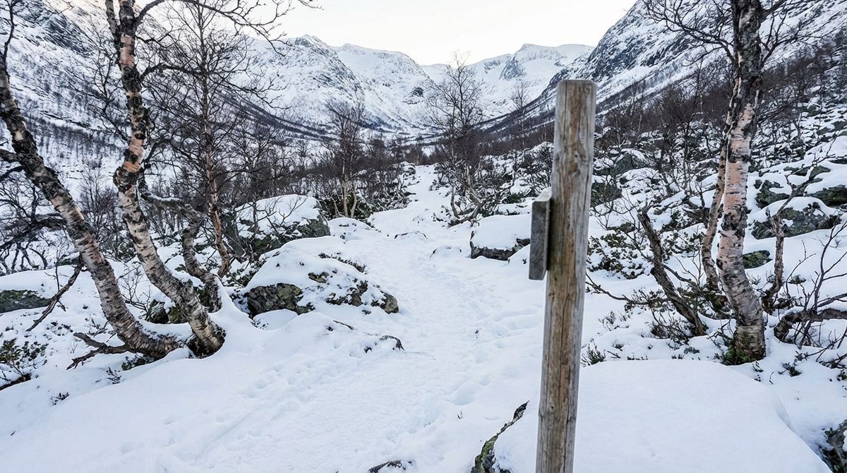 Kleivane topper lista i «Vinter i Modalen 2026»