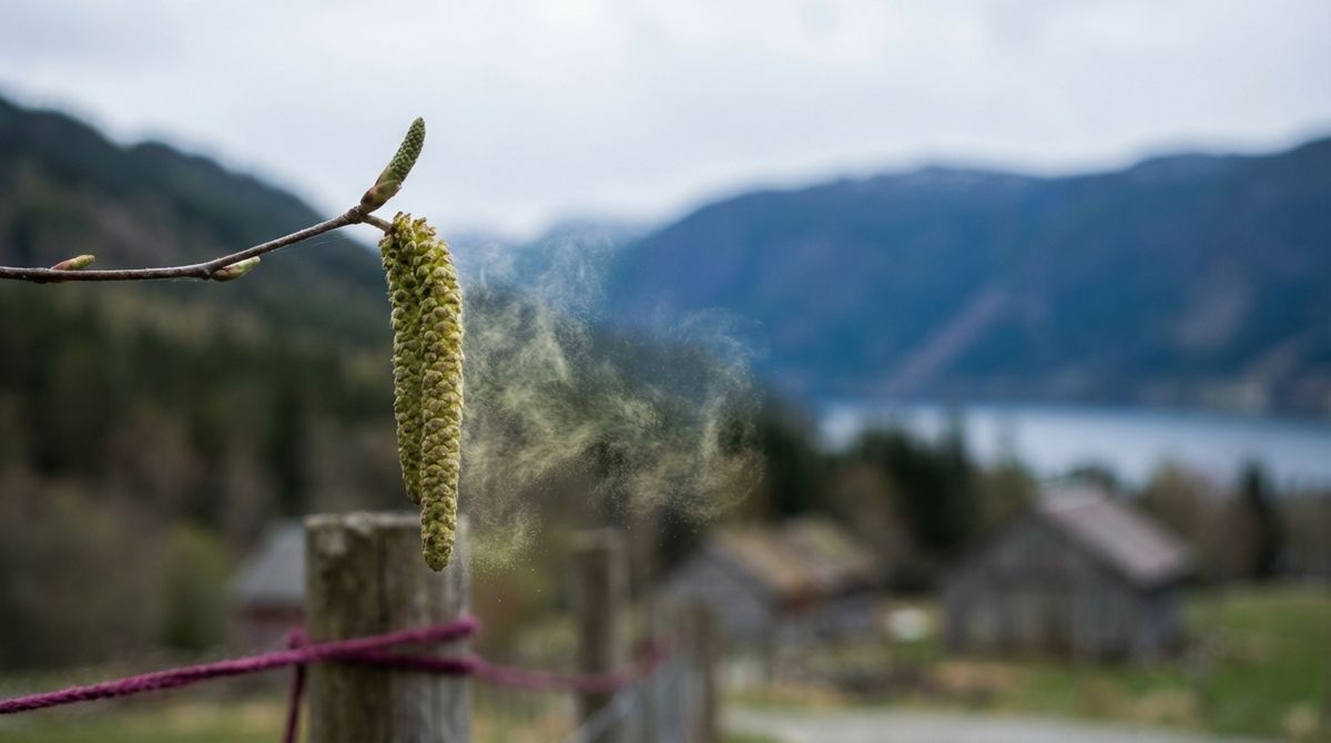 AI-generert bilde (Nano Banana Pro)